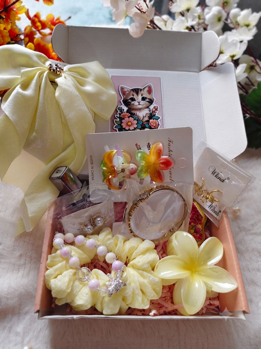 Premium Aesthetic Accessories Gift Hamper – Jewelry, Scrunchies & Hair Clips